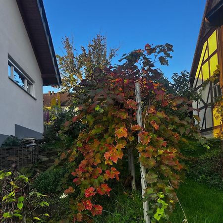 Kleine Auszeit - Ferienwohnung Heideberg - "Rhein" In Den Urlaub Bacharach Zewnętrze zdjęcie