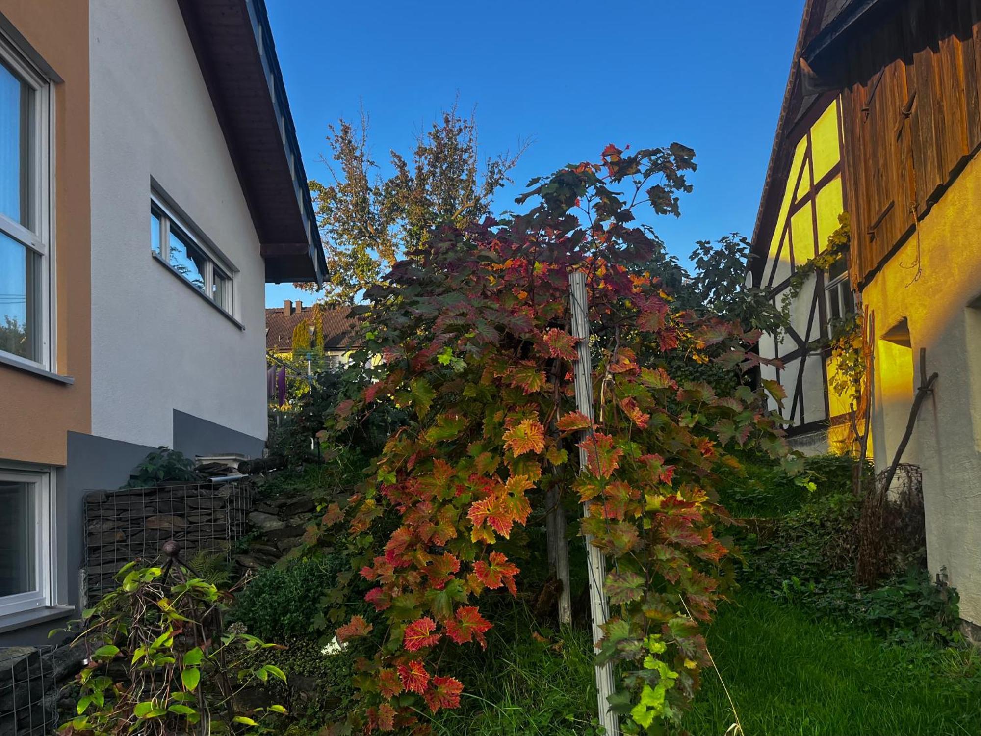 Kleine Auszeit - Ferienwohnung Heideberg - "Rhein" In Den Urlaub Bacharach Zewnętrze zdjęcie